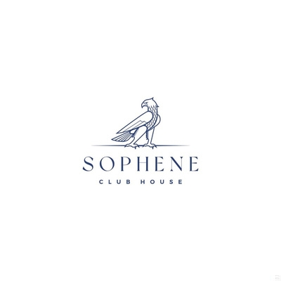 Sophene construction company — Dignisi partner